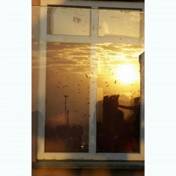 11910082_464274783745371_382357474_n