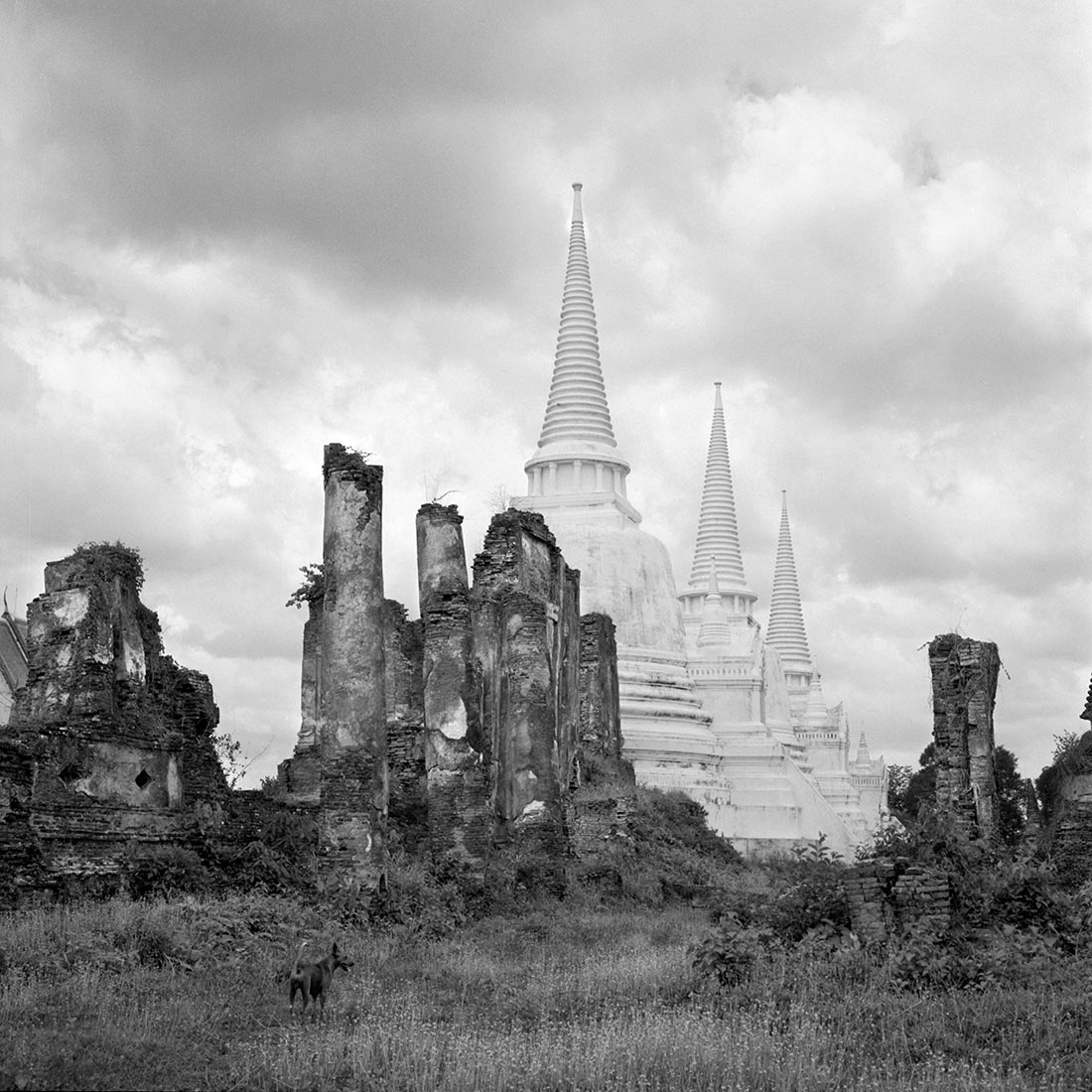June 5, 1959, Thailand
