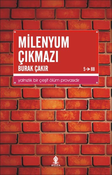 milenyumçıkmazı (2)